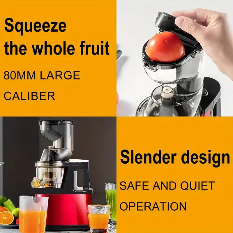 Fruits and Vegetables Slow Juicer-3