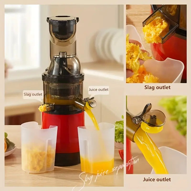 Fruits and Vegetables Slow Juicer-1